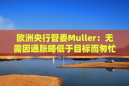 欧洲央行管委Muller:无需因通胀略低于目标而匆忙降息