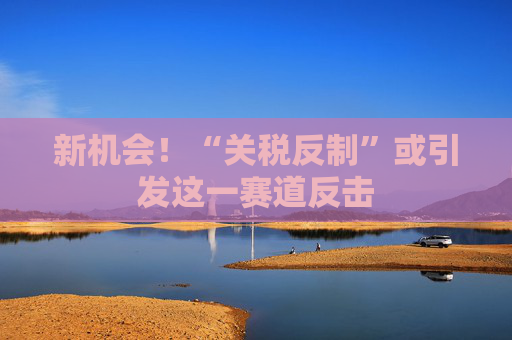 新机会!“关税反制”或引发这一赛道反击