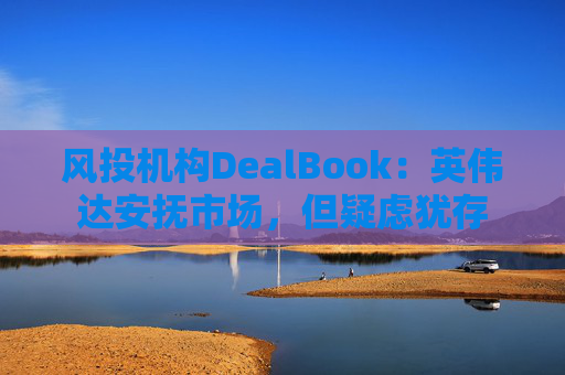 风投机构DealBook：英伟达安抚市场，但疑虑犹存