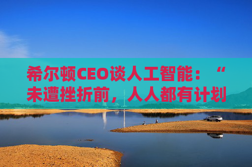 希尔顿CEO谈人工智能:“未遭挫折前,人人都有计划”