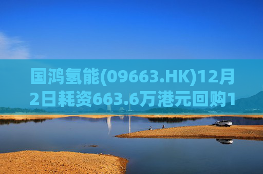 国鸿氢能(09663.HK)12月2日耗资663.6万港元回购128.6万股