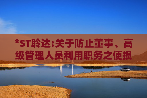 *ST聆达:关于防止董事、高级管理人员利用职务之便损害公司利益管理办法（2025年12月）