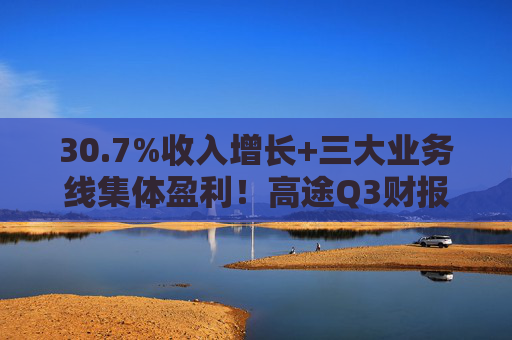 30.7%收入增长+三大业务线集体盈利!高途Q3财报提交出众成绩单