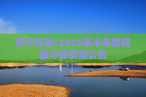 苏宁环球:2025年半年度权益分派实施公告