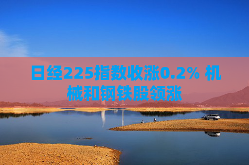 日经225指数收涨0.2% 机械和钢铁股领涨