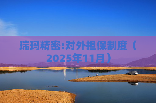瑞玛精密:对外担保制度（2025年11月）