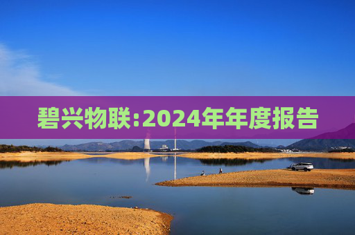 碧兴物联:2024年年度报告  第1张