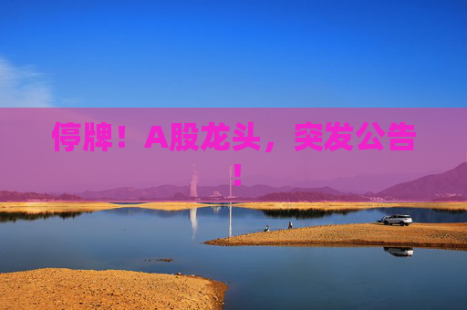 停牌!A股龙头,突发公告! 第1张 停牌!A股龙头,突发公告! 第1张
