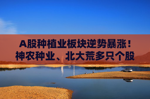 A股种植业板块逆势暴涨！神农种业、北大荒多只个股涨停，后市怎么走？