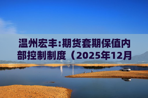 温州宏丰:期货套期保值内部控制制度（2025年12月修订）