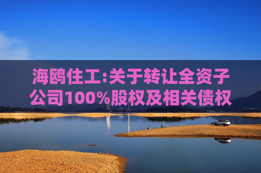 海鸥住工:关于转让全资子公司100%股权及相关债权暨债务豁免的公告
