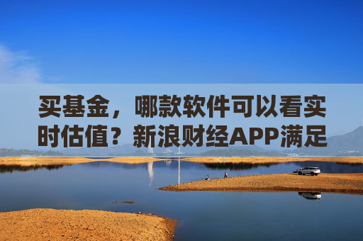 买基金，哪款软件可以看实时估值？新浪财经APP满足你的投资需求
