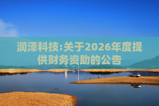 润泽科技:关于2026年度提供财务资助的公告