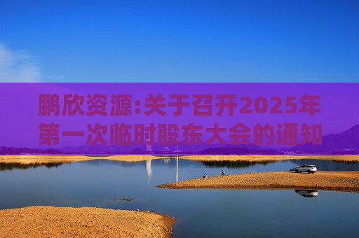 鹏欣资源:关于召开2025年第一次临时股东大会的通知