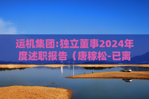运机集团:独立董事2024年度述职报告（唐稼松-已离任）