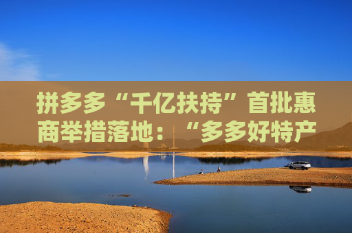 拼多多“千亿扶持”首批惠商举措落地：“多多好特产”等专项启动  第1张