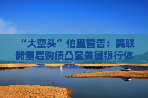 “大空头”伯里警告：美联储重启购债凸显美国银行体系脆弱