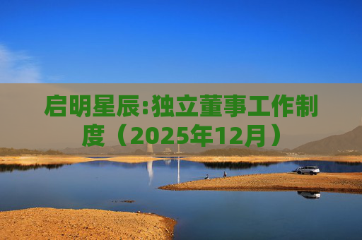 启明星辰:独立董事工作制度(2025年12月)