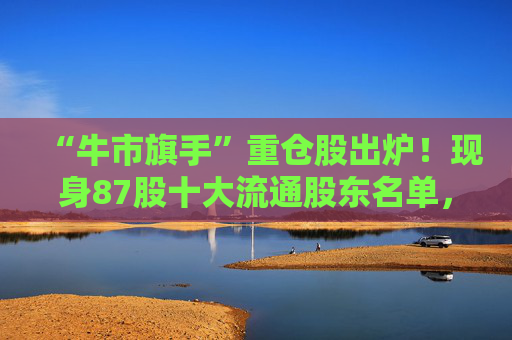 “牛市旗手”重仓股出炉！现身87股十大流通股东名单，新进46股