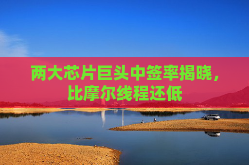 两大芯片巨头中签率揭晓，比摩尔线程还低
