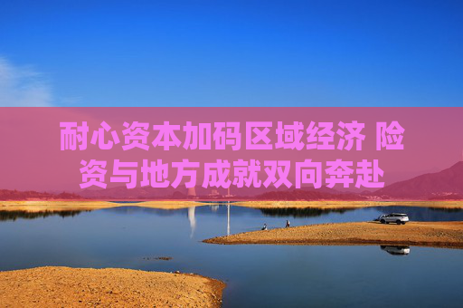 耐心资本加码区域经济 险资与地方成就双向奔赴