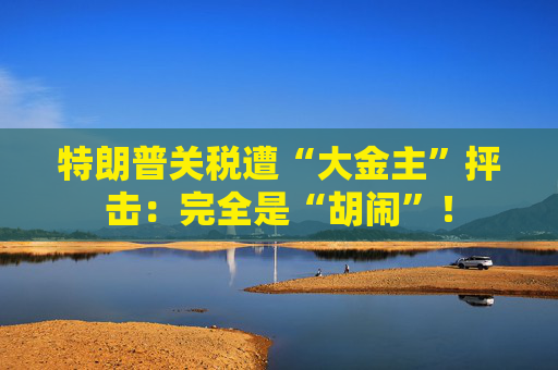 特朗普关税遭“大金主”抨击：完全是“胡闹”！  第1张