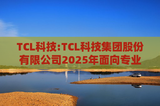 TCL科技:TCL科技集团股份有限公司2025年面向专业投资者公开发行科技创新公司债券（数字经济）（第一期）发行公告  第1张