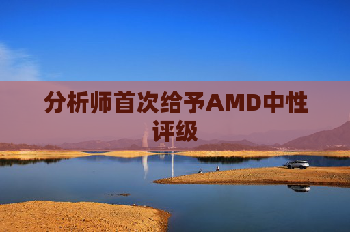 分析师首次给予AMD中性评级