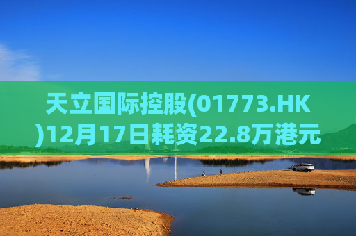 天立国际控股(01773.HK)12月17日耗资22.8万港元回购10万股