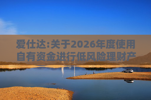 爱仕达:关于2026年度使用自有资金进行低风险理财产品投资的公告