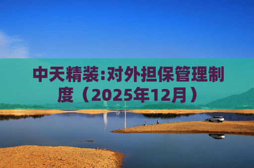 中天精装:对外担保管理制度（2025年12月）  第1张