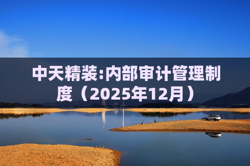 中天精装:内部审计管理制度(2025年12月)