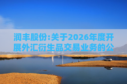 润丰股份:关于2026年度开展外汇衍生品交易业务的公告  第1张