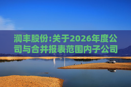 润丰股份:关于2026年度公司与合并报表范围内子公司相互担保的公告