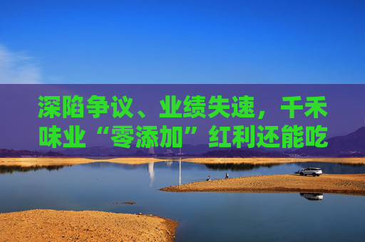 深陷争议、业绩失速，千禾味业“零添加”红利还能吃多久