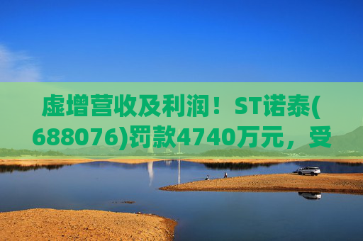 虚增营收及利润！ST诺泰(688076)罚款4740万元，受损投资者可索赔！