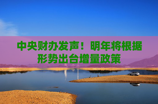 中央财办发声！明年将根据形势出台增量政策