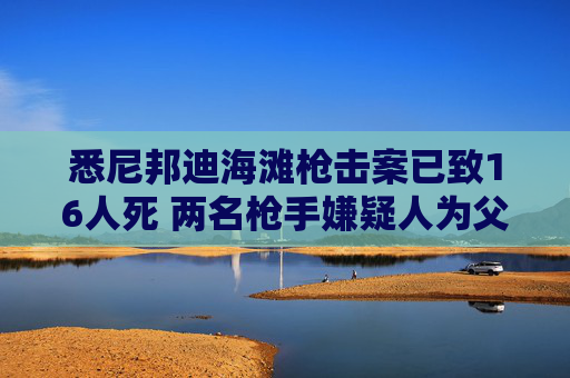 悉尼邦迪海滩枪击案已致16人死 两名枪手嫌疑人为父子关系