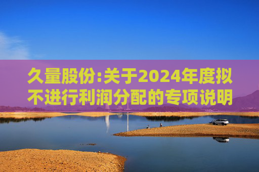 久量股份:关于2024年度拟不进行利润分配的专项说明