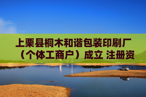 上栗县桐木和谐包装印刷厂（个体工商户）成立 注册资本80万人民币  第1张