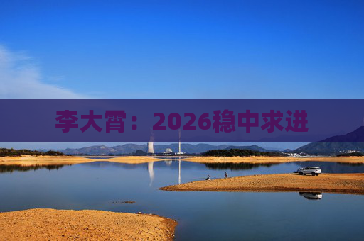 李大霄:2026稳中求进