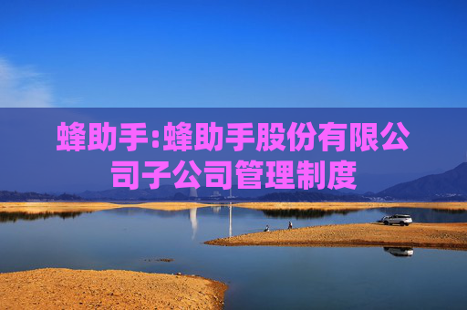 蜂助手:蜂助手股份有限公司子公司管理制度