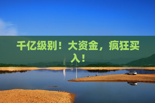 千亿级别！大资金，疯狂买入！