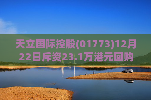 天立国际控股(01773)12月22日斥资23.1万港元回购10万股