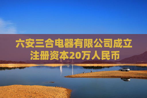 六安三合电器有限公司成立 注册资本20万人民币