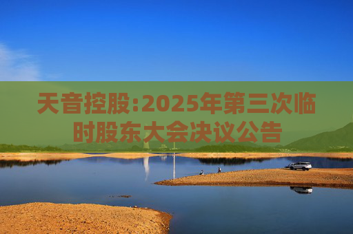 天音控股:2025年第三次临时股东大会决议公告