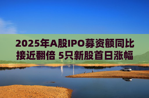 2025年A股IPO募资额同比接近翻倍 5只新股首日涨幅超6倍