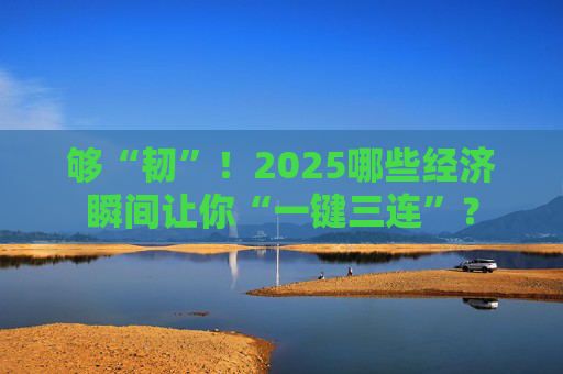 够“韧”!2025哪些经济瞬间让你“一键三连”?
