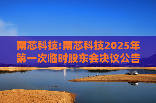南芯科技:南芯科技2025年第一次临时股东会决议公告