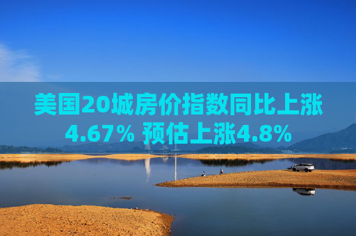 美国20城房价指数同比上涨4.67% 预估上涨4.8%